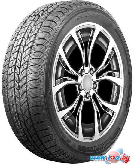 Зимние шины Autogreen Snow Chaser AW02 255/55R19 111T в Витебске