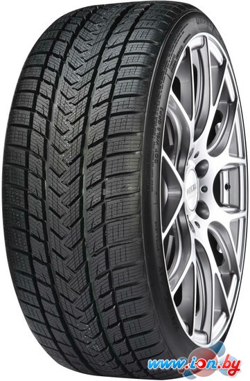 Зимние шины Gripmax SureGrip Pro Winter 325/30R21 108V в Витебске