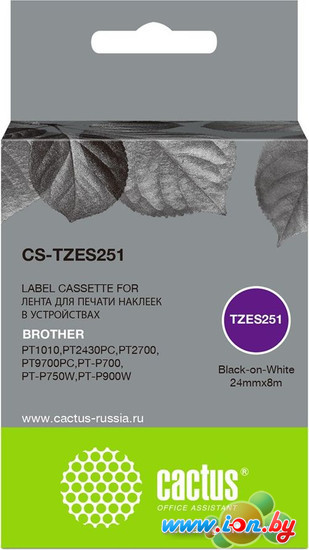 Картридж CACTUS CS-TZES251 (аналог Brother TZES251) в Могилёве