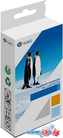 Картридж G&G GG-C13T945240 (аналог Epson C13T945240) в Бресте