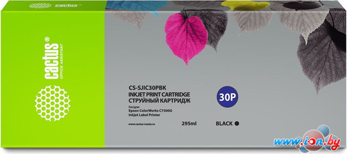 Картридж CACTUS CS-SJIC30PBK (аналог Epson SJIC30PBK) в Могилёве