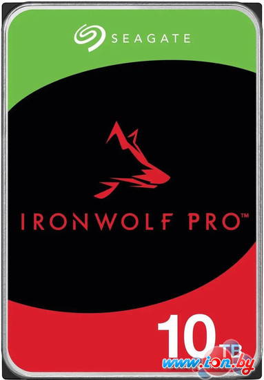 Жесткий диск Seagate IronWolf Pro 10TB ST10000NT001 в Могилёве