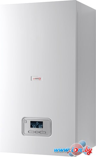 Отопительный котел Protherm Ray (Скат) 6 KE /14 0010023646 в Гомеле