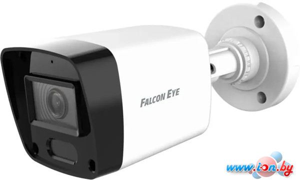 IP-камера Falcon Eye FE-IB2-30 в Могилёве