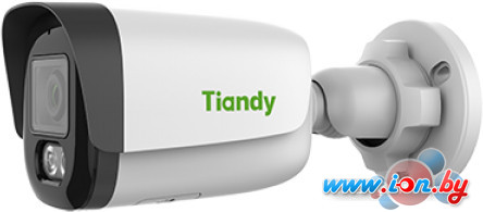 IP-камера Tiandy TC-C34UP W/E/Y/M/4MM/V4.0 в Бресте