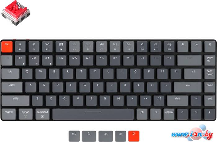 Клавиатура Keychron K3 V2 RGB K3-E1 (Keychron Low Profile Optical Red, нет кириллицы) в Гродно