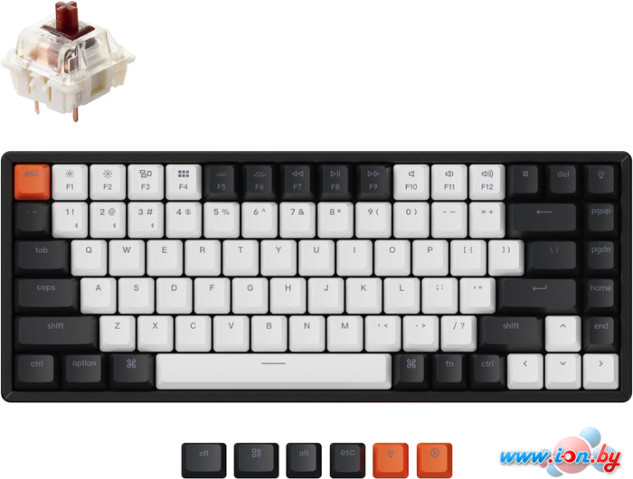 Клавиатура Keychron K2 V2 RGB K2-C3H (Gateron G Pro Brown, нет кириллицы) в Минске