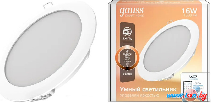 Точечный светильник Gauss Smart Home 2020122 в Минске