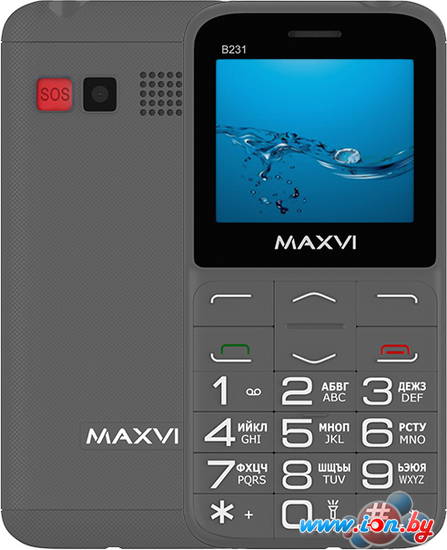 Кнопочный телефон Maxvi B231 (серый) в Бресте