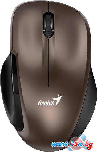 Мышь Genius Ergo 8200S (шоколадный) в Гомеле