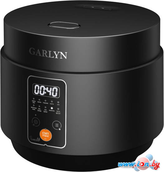 Мультиварка Garlyn MR-Solo 3 в Гродно