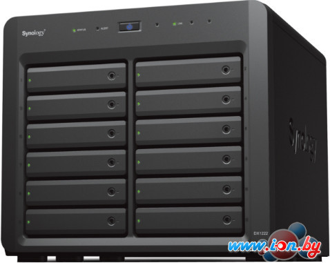 Сетевой накопитель Synology Expansion Unit DX1222 в Гомеле