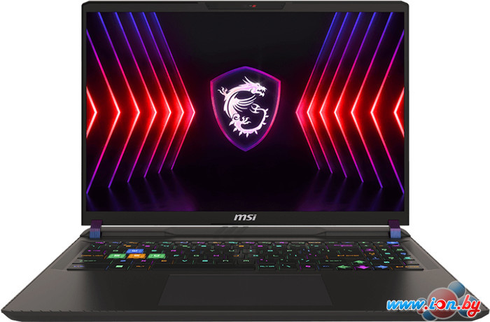 Игровой ноутбук MSI Vector 16 HX A14VGG-283RU в Гомеле