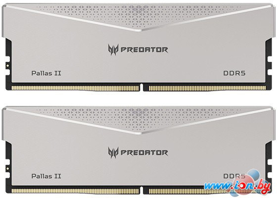 Оперативная память Acer Predator Pallas II 2x32ГБ DDR5 6400 МГц BL.9BWWR.377 в Могилёве