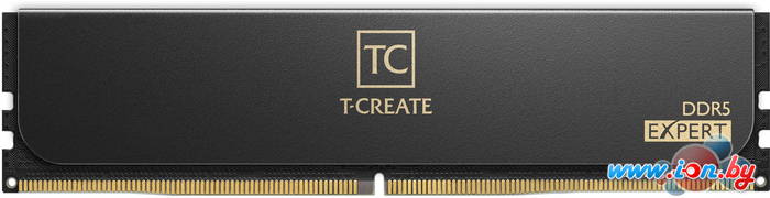 Оперативная память Team T-Create Expert 16ГБ DDR5 6000 МГц CTCCD516G6000HC4801 в Могилёве