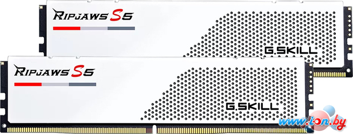 Оперативная память G.Skill Ripjaws S5 2x16ГБ DDR5 5600 МГц F5-5600J4040C16GX2-RS5W в Могилёве