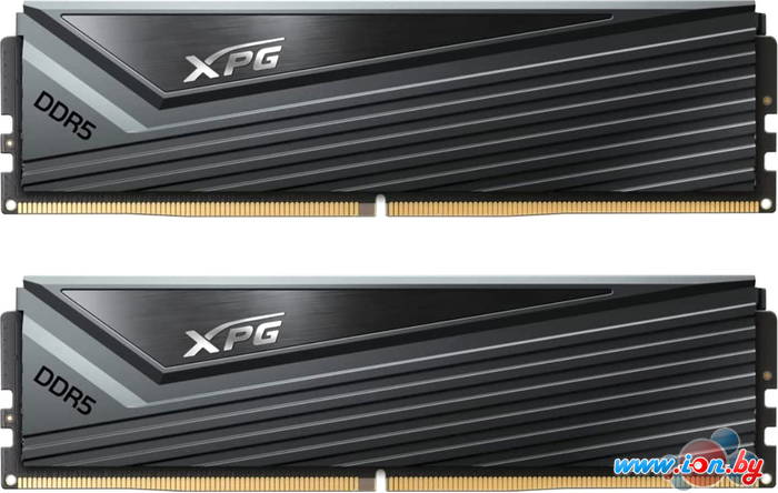 Оперативная память ADATA XPG Caster 2x16ГБ DDR5 6400 МГц AX5U6400C3216G-DCCAGY в Бресте