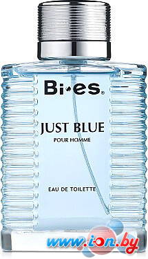 Туалетная вода BI-ES Just Blue Pour Homme EdT (100 мл) в Могилёве