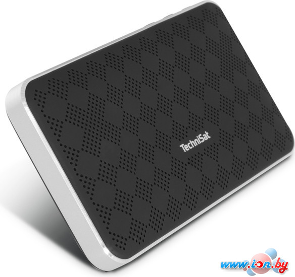 Беспроводная колонка Technisat Bluspeaker FL 200 в Бресте