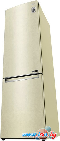 Холодильник LG DoorCooling+ GC-B509SECL в Минске