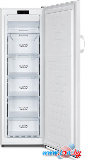 Морозильник Gorenje FN4171CW в Могилёве