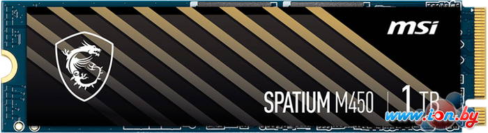 SSD MSI Spatium M450 1TB S78-440L980-P83 в Бресте