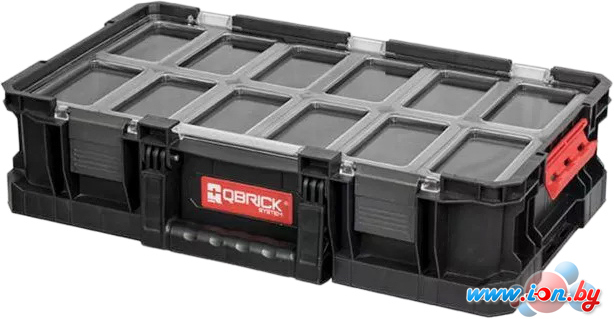 Органайзер Qbrick System Two Organizer Flex Plus в Могилёве