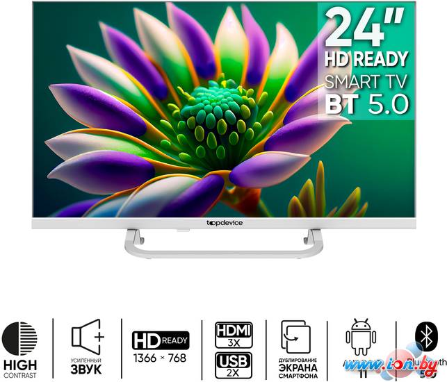 Телевизор Topdevice Frameless Neo TDTV24CS04H_WE в Могилёве