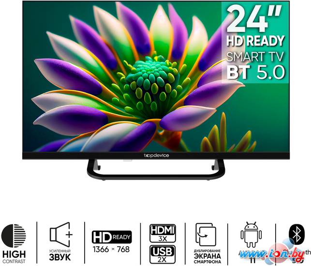 Телевизор Topdevice Frameless Neo TDTV24CS04H_BK в Могилёве