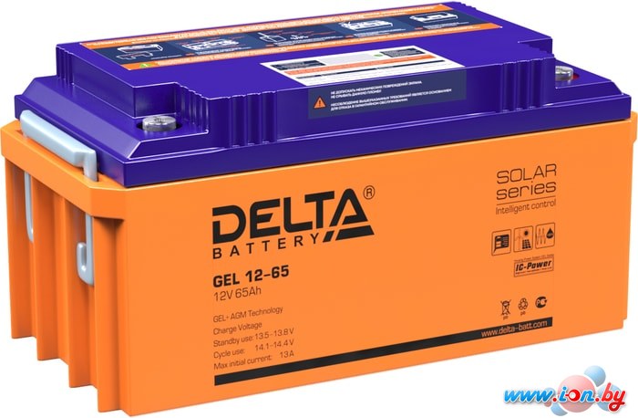 Аккумулятор для ИБП Delta GEL 12-65 (12В/65 А·ч) в Минске