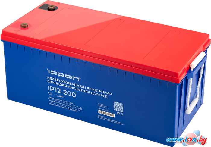 Аккумулятор для ИБП IPPON IP12-200 (12В/200 А·ч) в Минске