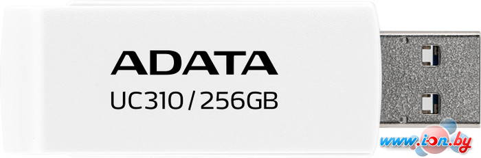 USB Flash ADATA UC310 256GB UC310-256G-RWH в Могилёве