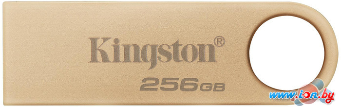 USB Flash Kingston DataTraveler SE9 G3 256B DTSE9G3/256GB в Гродно