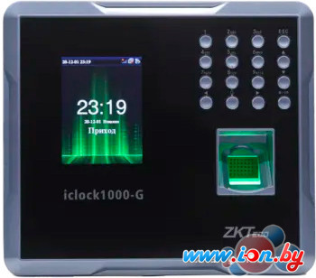 Биометрический терминал ZKTeco iclock1000-G в Могилёве