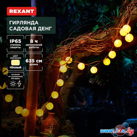 Новогодняя гирлянда Rexant Денг 602-2428 в Могилёве