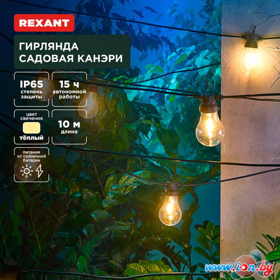 Садовая гирлянда Rexant Канэри 602-2421 в Могилёве