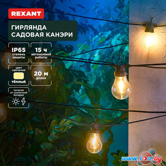 Новогодняя гирлянда Rexant Канэри 602-2423 в Могилёве