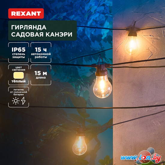 Новогодняя гирлянда Rexant Канэри 602-2422 в Могилёве