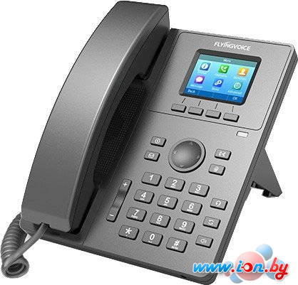 IP-телефон Flyingvoice P11P в Бресте