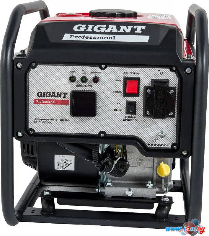 Бензиновый генератор Gigant Professional GPIGL-3000O в Гомеле