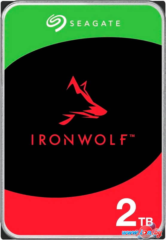 Жесткий диск Seagate IronWolf 2TB ST2000VN003 в Гродно