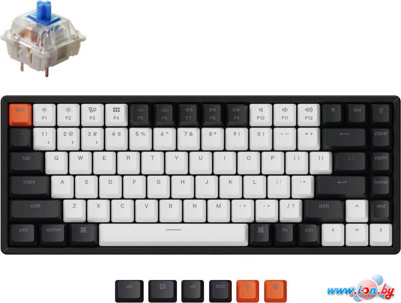 Клавиатура Keychron K2 V2 RGB K2-C2H (Gateron G Pro Blue, нет кириллицы) в Могилёве