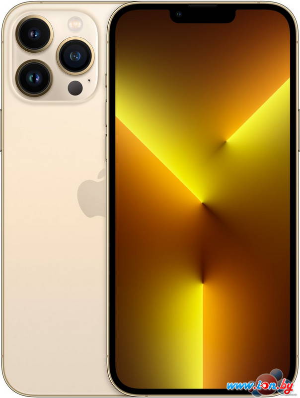 Смартфон Apple iPhone 13 Pro Max 256GB Восстановленный by Breezy, грейд B (золотистый) в Могилёве