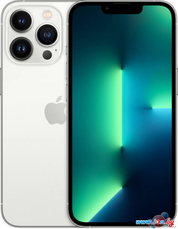 Смартфон Apple iPhone 13 Pro 256GB Восстановленный by Breezy, грейд B (серебристый) в Могилёве