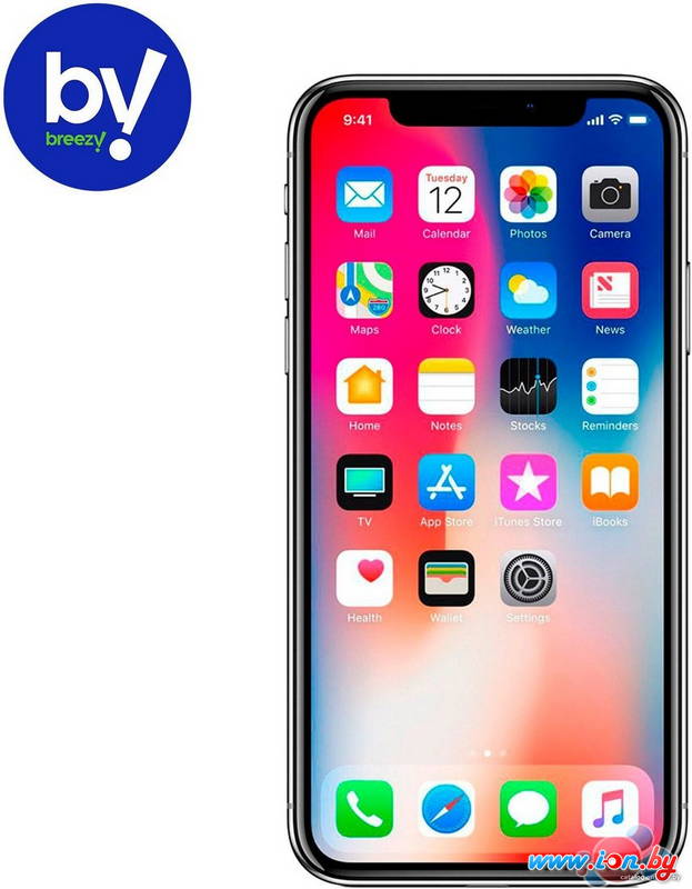 Смартфон Apple iPhone X 256GB Восстановленный by Breezy, грейд C (серый космос) в Бресте