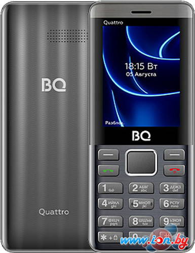 Кнопочный телефон BQ BQ-2453 Quattro (серый) в Бресте