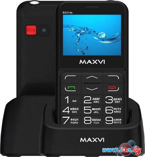 Кнопочный телефон Maxvi B231ds (черный) в Гомеле