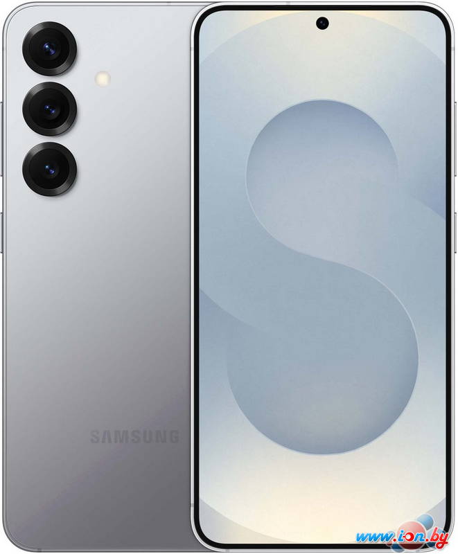 Смартфон Samsung Galaxy S25 SM-S931B 12GB/256GB (серый) в Могилёве