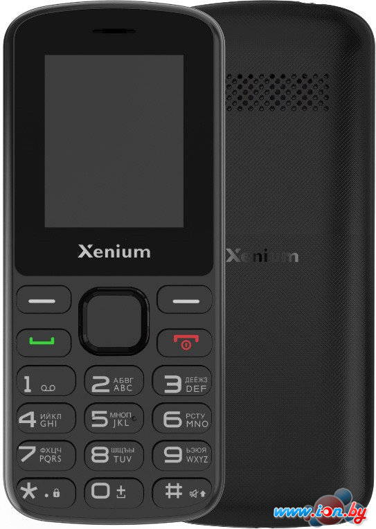 Кнопочный телефон Xenium X170 (черный) в Могилёве