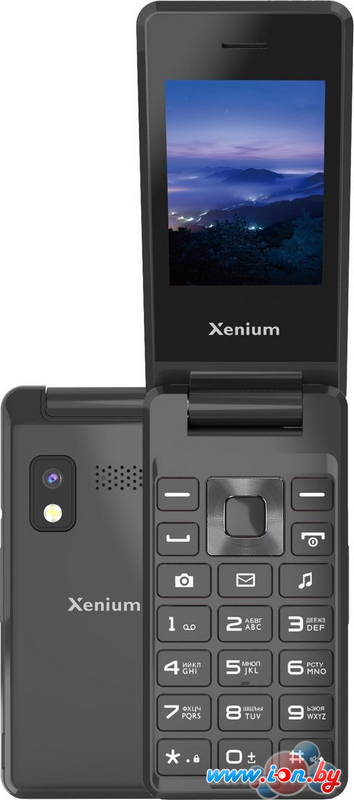 Кнопочный телефон Xenium X600 (темно-серый) в Могилёве